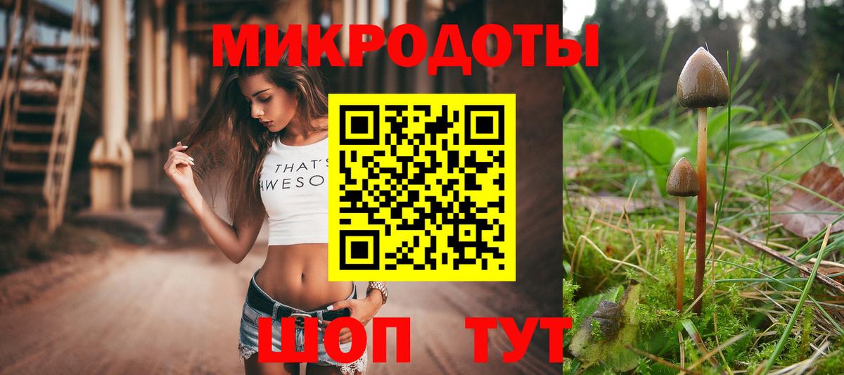 Галлюциногенные грибы Magic Shrooms Звенигород