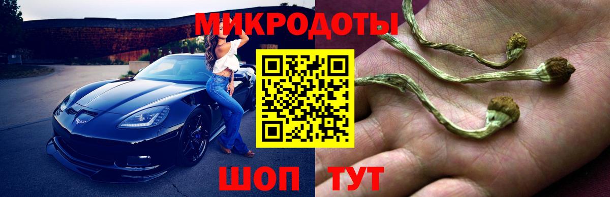 Галлюциногенные грибы Magic Shrooms  Вход с VPN  даркнет сайт  Звенигород  Псилоцибиновые грибы Psilocybe 
